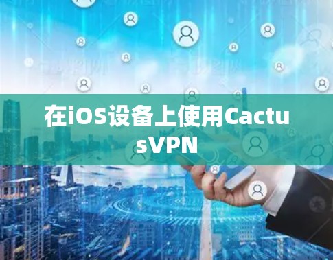 在iOS设备上使用CactusVPN