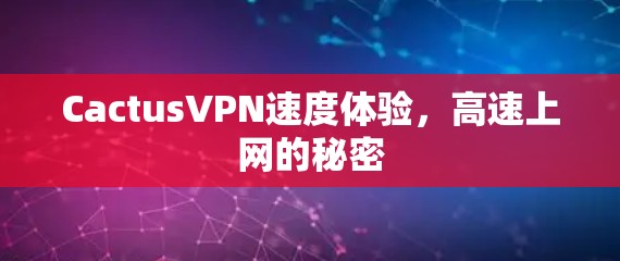 CactusVPN速度体验,高速上网的秘密
