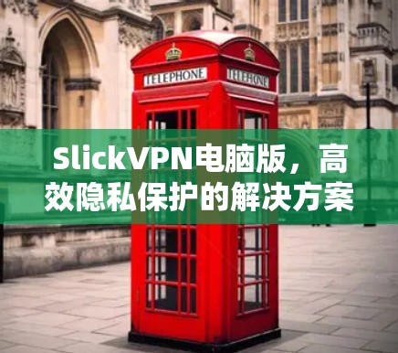 SlickVPN电脑版,高效隐私保护的解决方案