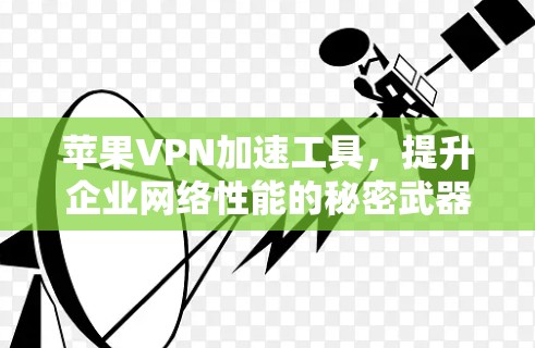 苹果VPN加速工具，提升企业网络性能的秘密武器