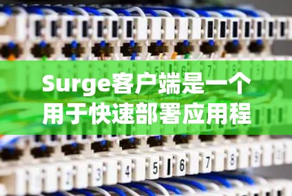 Surge客户端是一个用于快速部署应用程序的工具,它提供了用户友好的命令行界面,可以直接从本地文件夹部署到云端。以下是更新Surge客户端的步骤