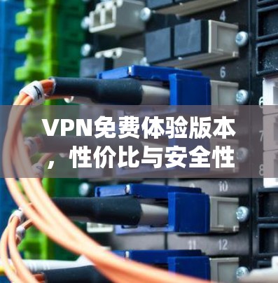 VPN免费体验版本,性价比与安全性分析