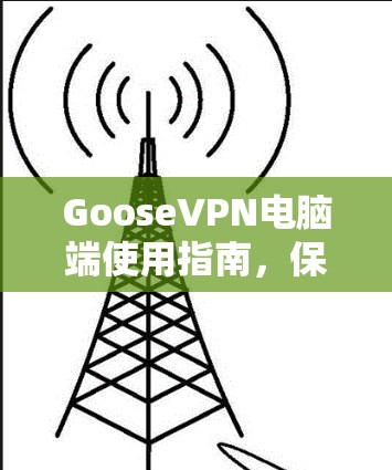 GooseVPN电脑端使用指南，保障隐私与安全