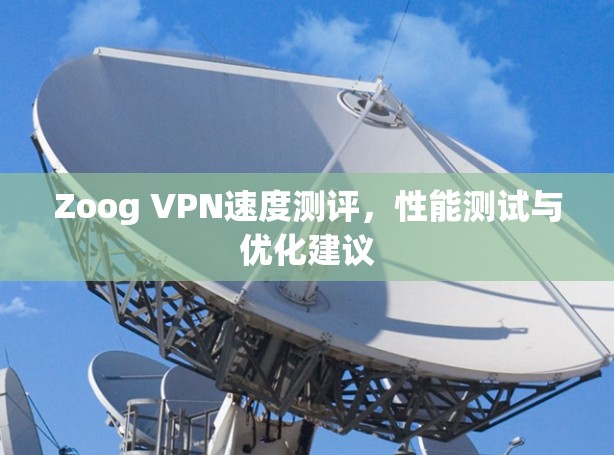 Zoog VPN速度测评，性能测试与优化建议