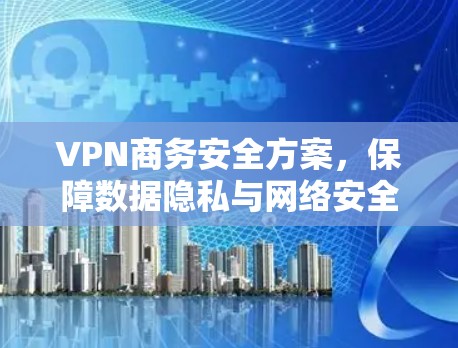 VPN商务安全方案,保障数据隐私与网络安全