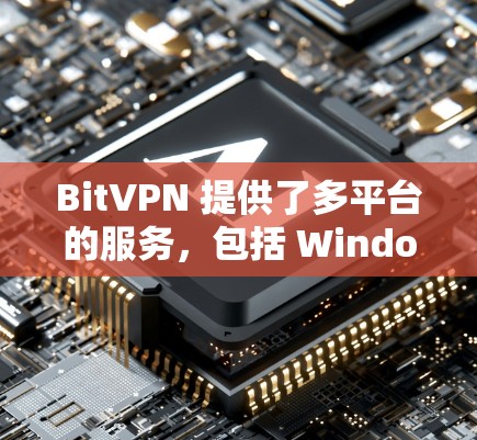 BitVPN 提供了多平台的服务,包括 Windows、Mac、iOS 和 Android。您可以通过 BitVPN 的官方网站或应用商店下载安卓版本的 VPN 客户端