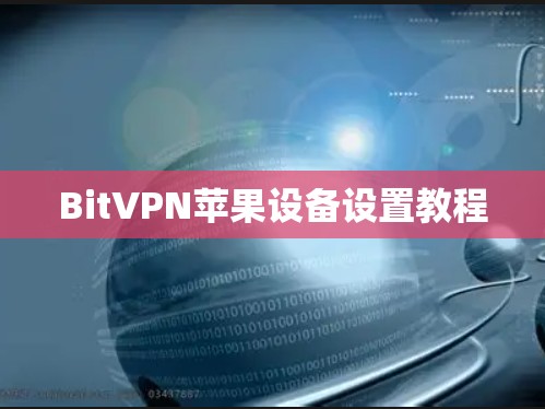 BitVPN苹果设备设置教程