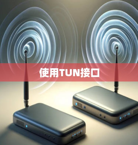 使用TUN接口