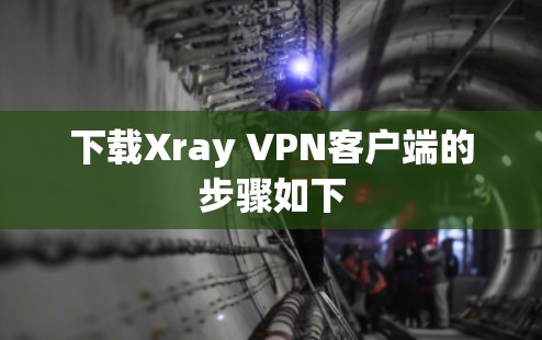 下载Xray VPN客户端的步骤如下