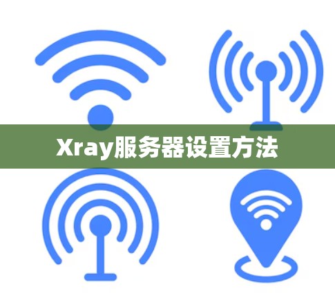 Xray服务器设置方法