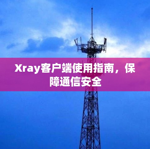 Xray客户端使用指南,保障通信安全