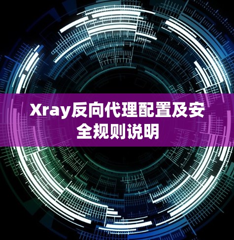 Xray反向代理配置及安全规则说明