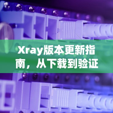 Xray版本更新指南,从下载到验证的完整步骤