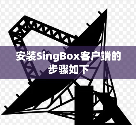 安装SingBox客户端的步骤如下 安装SingBox客户端的步骤如下