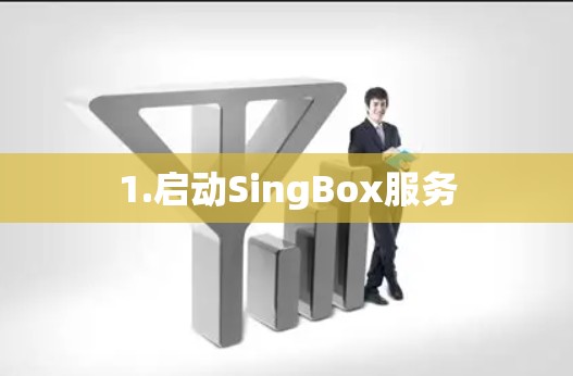 1.启动SingBox服务