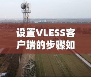 设置VLESS客户端的步骤如下 设置VLESS客户端的步骤如下