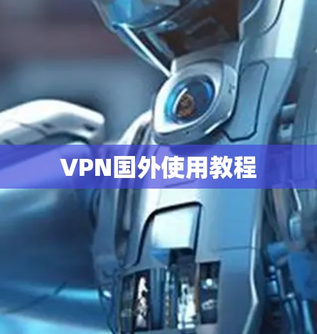 VPN国外使用教程
