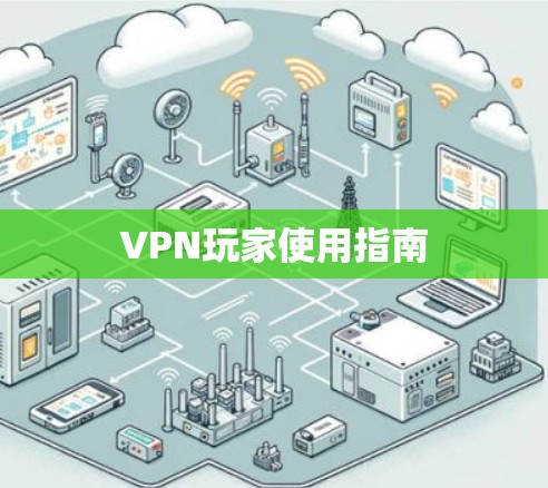 VPN玩家使用指南