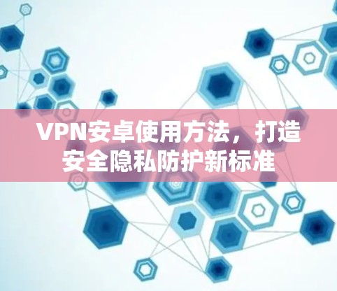 VPN安卓使用方法,打造安全隐私防护新标准