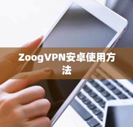 ZoogVPN安卓使用方法