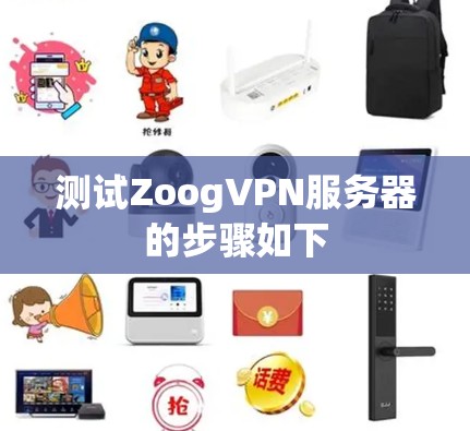 测试ZoogVPN服务器的步骤如下 测试ZoogVPN服务器的步骤如下