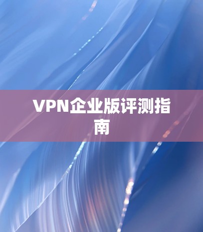 VPN企业版评测指南