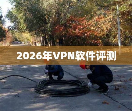 2026年VPN软件评测 2026年VPN软件评测