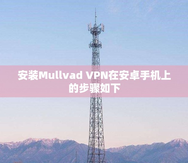 安装Mullvad VPN在安卓手机上的步骤如下