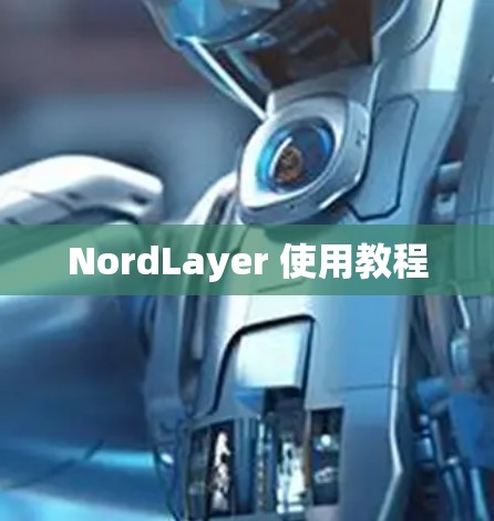NordLayer 使用教程 NordLayer 使用教程