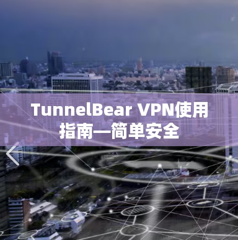 TunnelBear VPN使用指南—简单安全