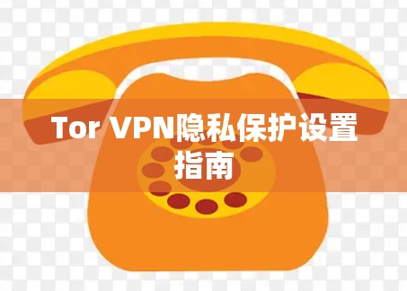 Tor VPN隐私保护设置指南 Tor VPN隐私保护设置指南
