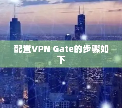 配置VPN Gate的步骤如下 配置VPN Gate的步骤如下