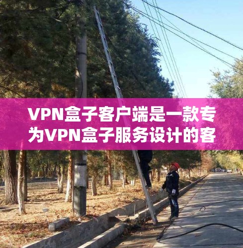 VPN盒子客户端是一款专为VPN盒子服务设计的客户端软件,用于连接并管理VPN连接。以下是关于VPN盒子客户端的一些详细信息 VPN盒子客户端是一款专为VPN盒子服务设计的客户端软件,用于连接并管理VPN连接。以下是关于VPN盒子客户端的一些详细信息