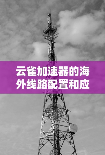 云雀加速器的海外线路配置和应用是一个复杂但重要的任务,涉及网络优化、安全和合规性。以下是详细的步骤和考虑因素 云雀加速器的海外线路配置和应用是一个复杂但重要的任务,涉及网络优化、安全和合规性。以下是详细的步骤和考虑因素