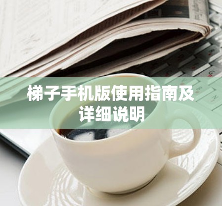 梯子手机版使用指南及详细说明