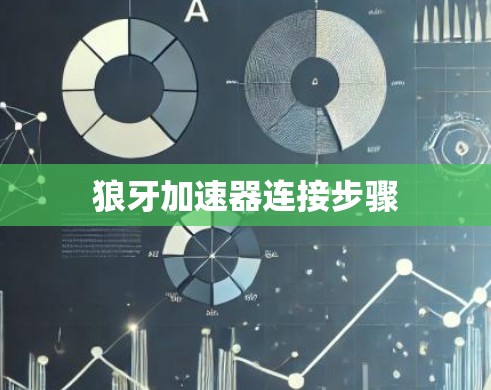 狼牙加速器连接步骤 狼牙加速器连接步骤