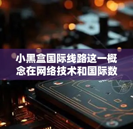 小黑盒国际线路这一概念在网络技术和国际数据传输领域中可能引起关注,尤其是在涉及数据隐私、知识产权保护以及跨国数据传输安全方面 小黑盒国际线路这一概念在网络技术和国际数据传输领域中可能引起关注,尤其是在涉及数据隐私、知识产权保护以及跨国数据传输安全方面
