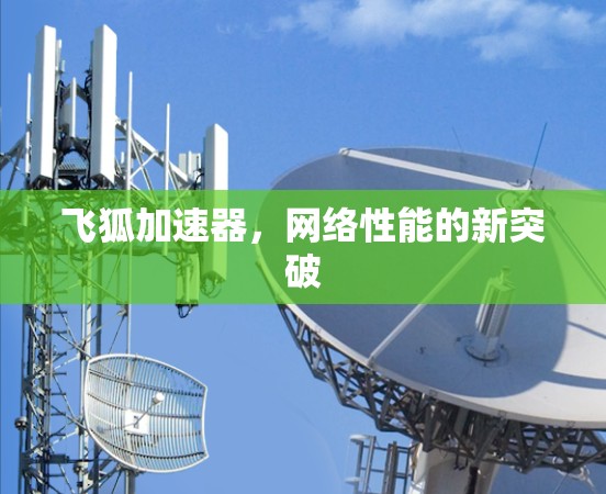 飞狐加速器,网络性能的新突破 飞狐加速器,网络性能的新突破