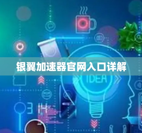 银翼加速器官网入口详解 银翼加速器官网入口详解