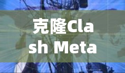 克隆Clash Meta仓库 克隆Clash Meta仓库