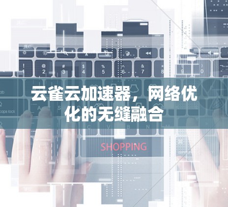 云雀云加速器,网络优化的无缝融合 云雀云加速器,网络优化的无缝融合