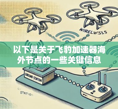 以下是关于飞豹加速器海外节点的一些关键信息 以下是关于飞豹加速器海外节点的一些关键信息