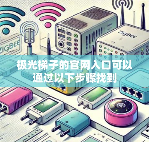 极光梯子的官网入口可以通过以下步骤找到