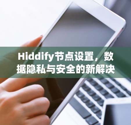 Hiddify节点设置,数据隐私与安全的新解决方案 Hiddify节点设置,数据隐私与安全的新解决方案