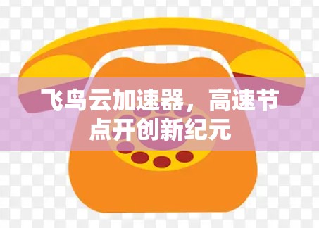 飞鸟云加速器,高速节点开创新纪元 飞鸟云加速器,高速节点开创新纪元