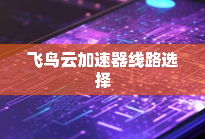 飞鸟云加速器线路选择