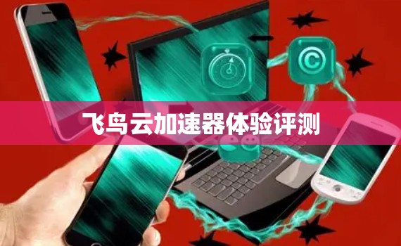 飞鸟云加速器体验评测 飞鸟云加速器体验评测
