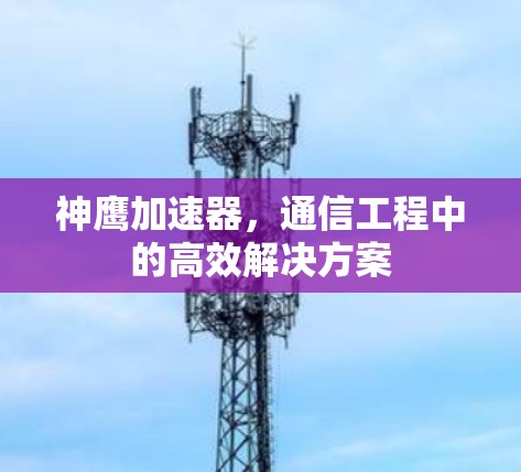 神鹰加速器,通信工程中的高效解决方案 神鹰加速器,通信工程中的高效解决方案