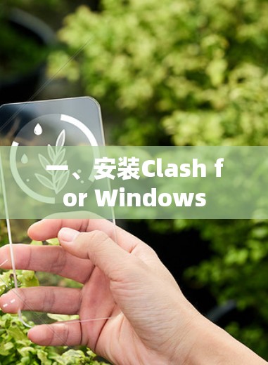 一、安装Clash for Windows 一、安装Clash for Windows