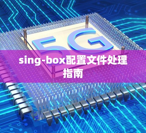 sing-box配置文件处理指南 sing-box配置文件处理指南